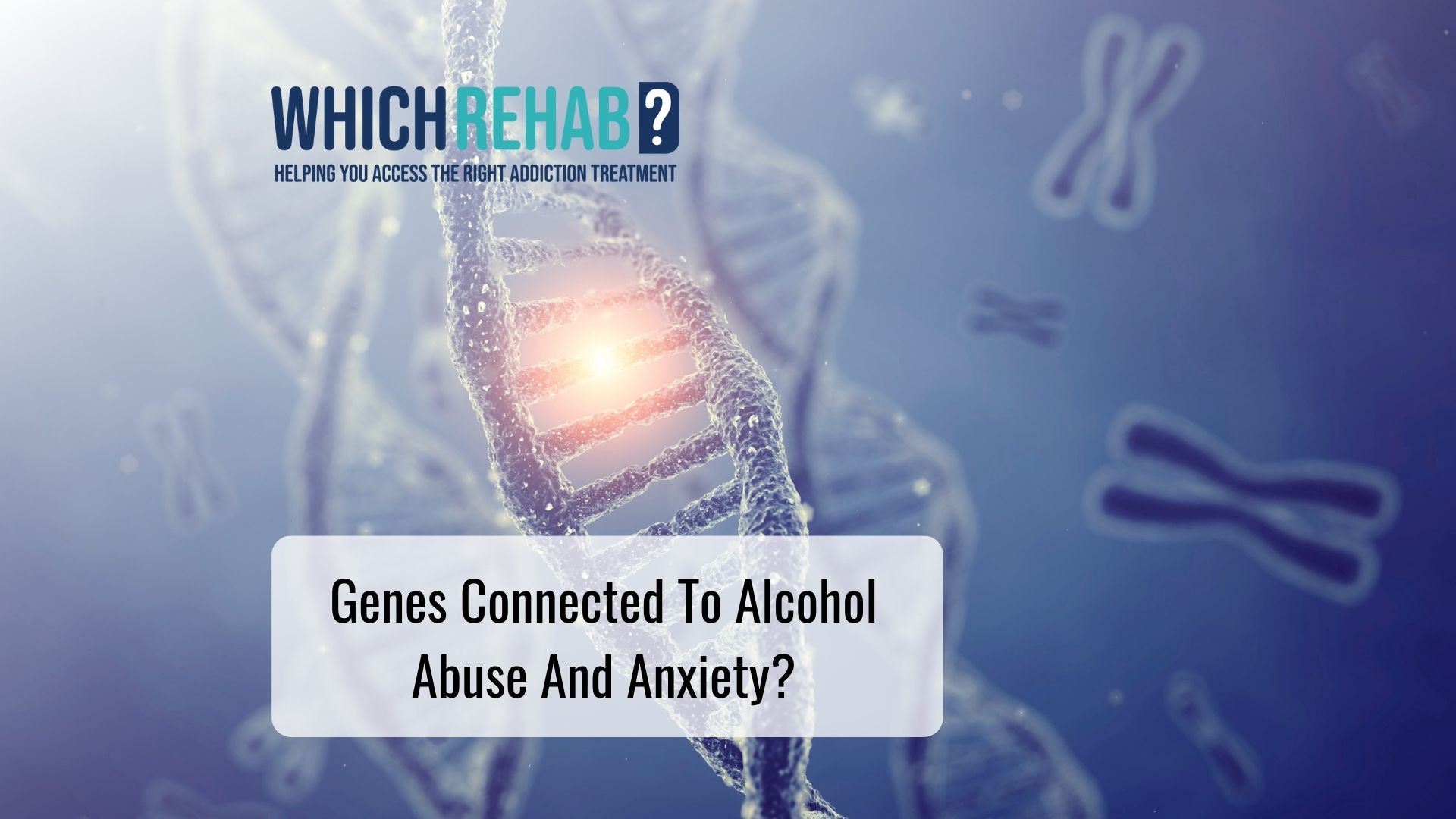 Genes connected to alcohol abuse