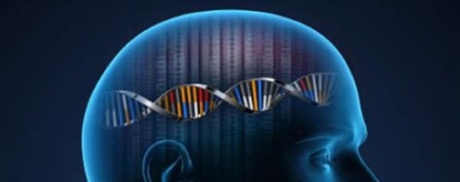 Genes connected to alcohol abuse