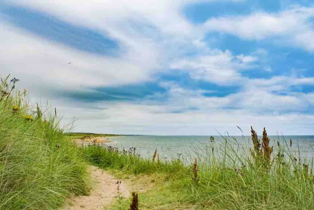 A beach on the Aberdeen coast - Aberdeen Rehab - Which Rehab