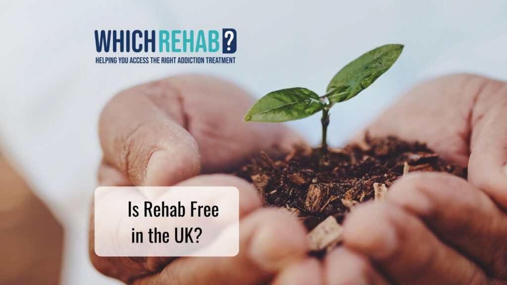 A hand holding a growing plant - Is Rehab Free in the UK - Which Rehab